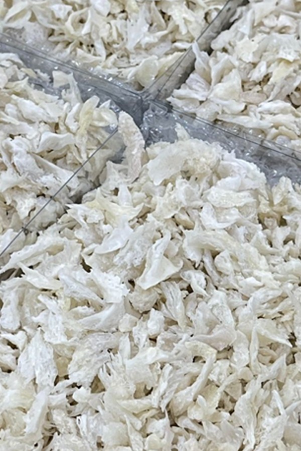 Premium Bird's Nest Corners 150g