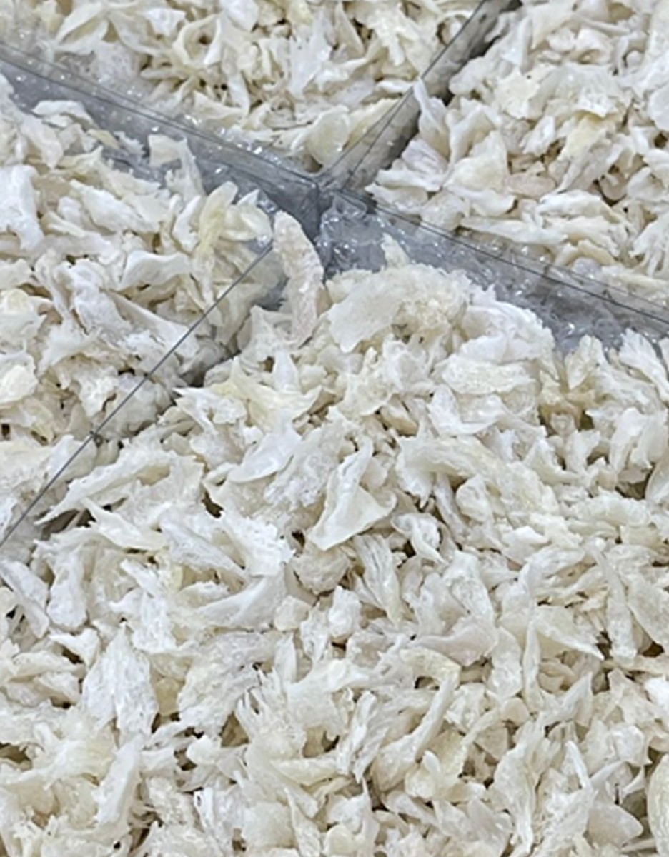 Premium Bird's Nest Corners 150g